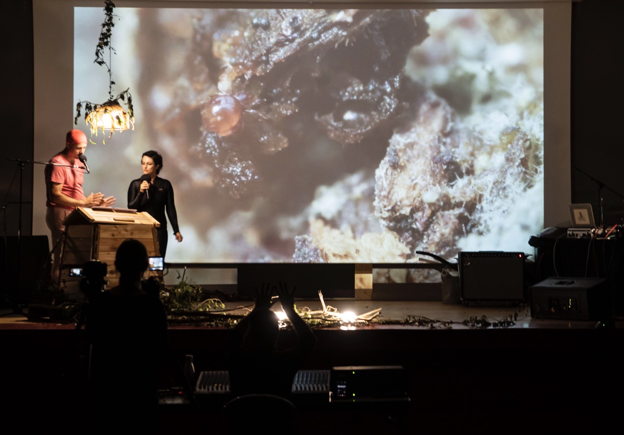 Compost spectacle 2022