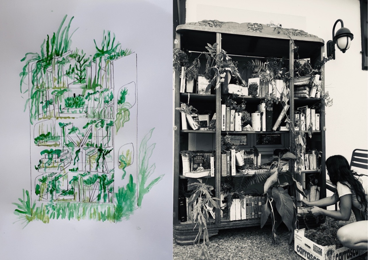 Bibliothèque Océane