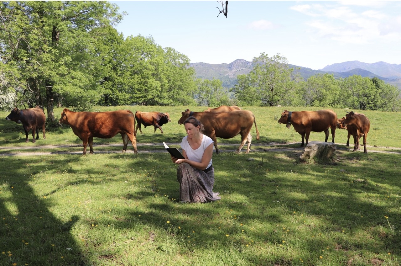 Dialogue zoopoétique