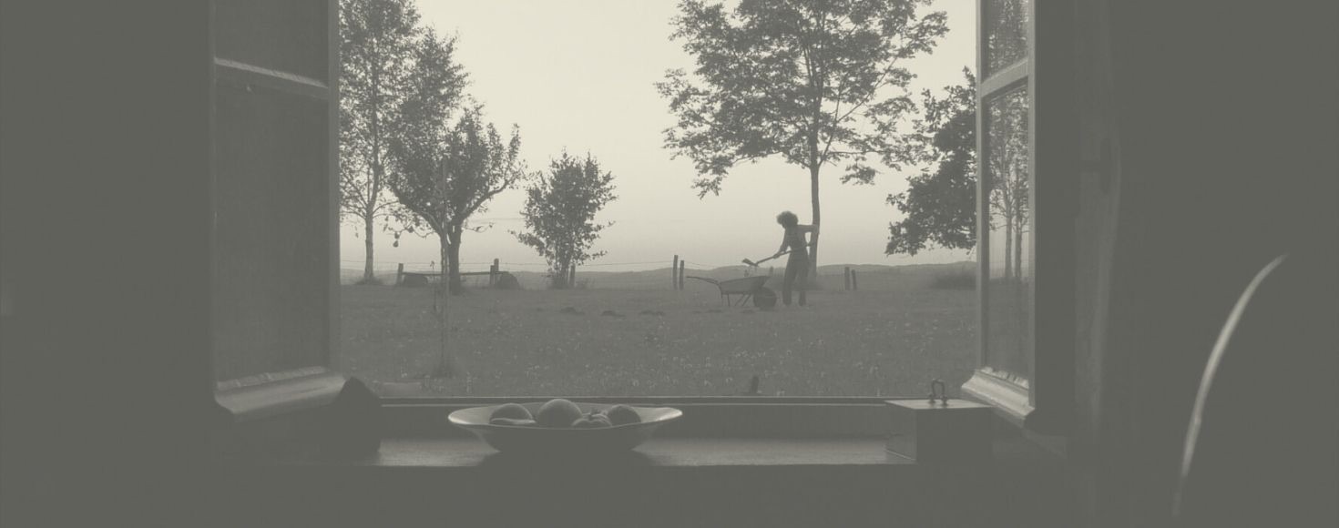 Dansons tant qu’on n’est pas mort