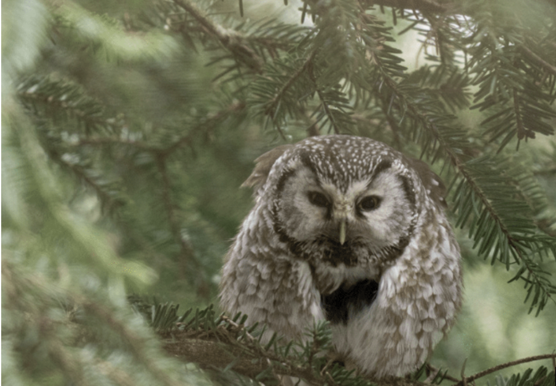 Affiche concours d'écriture